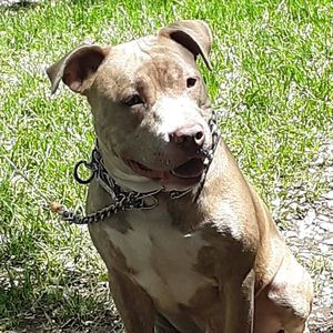 Meet your Posher, Greg